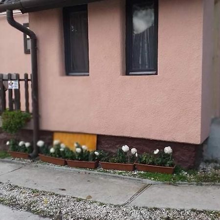 Malomtavi Vendégház Tapolca Extérieur photo