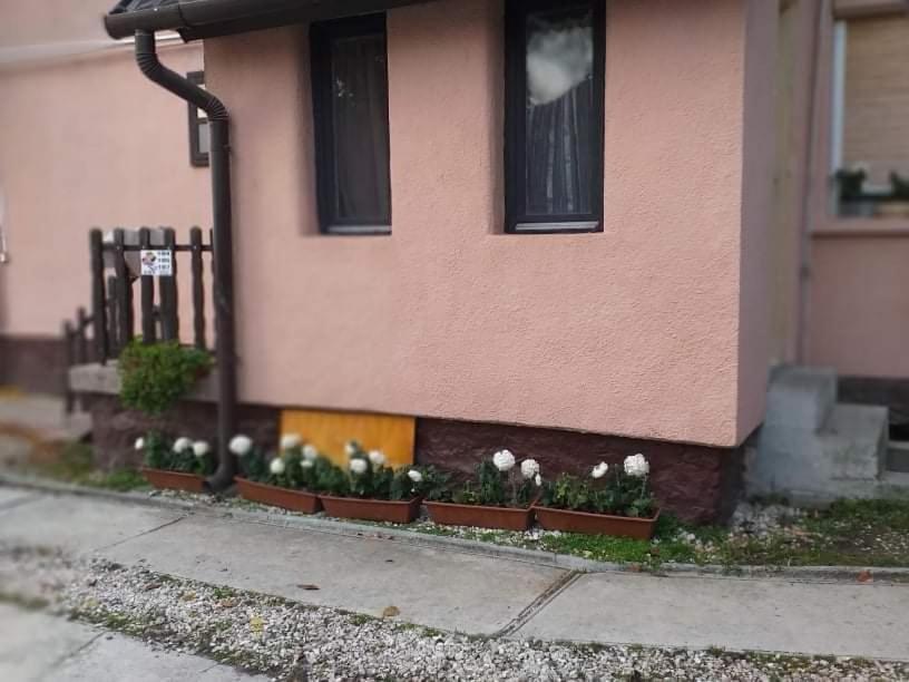 Malomtavi Vendégház Tapolca Extérieur photo